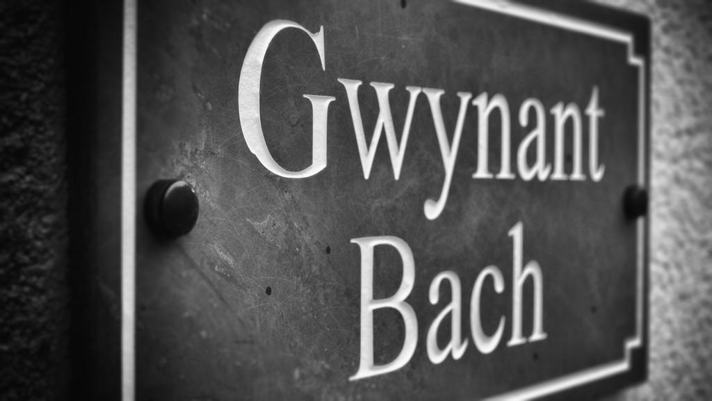 Gwynant Bach Villa Rowen Exterior foto